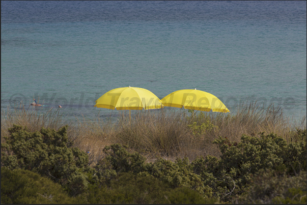 A moment of relax on the beaches of the Elafonisos Island