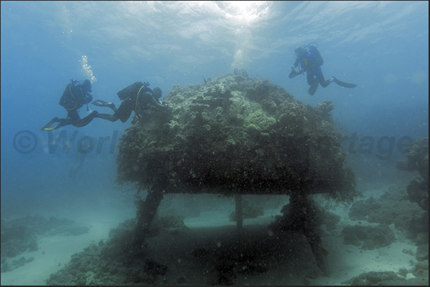 Precontinent II. What remains of the underwater village of Jacques Cousteau