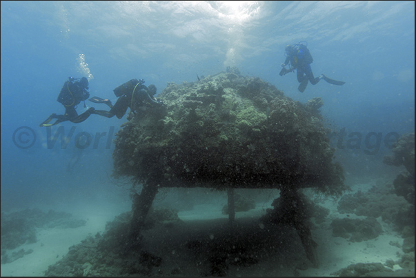 Precontinent II. What remains of the underwater village of Jacques Cousteau Precontinent II. What remains of the underwater village of Jacques Cousteau