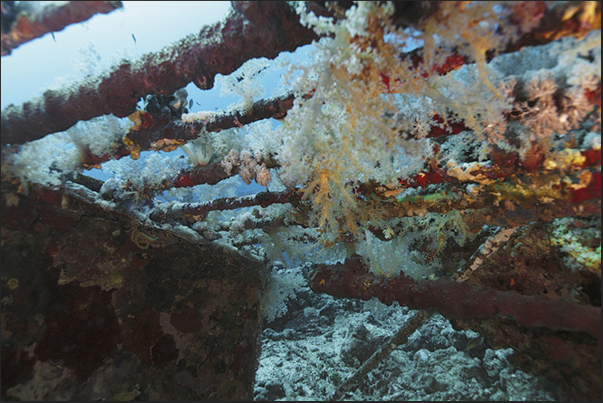 The anti-shark cage used during the project Precontinent II