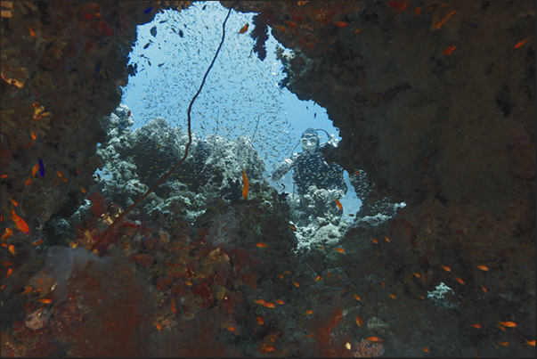 Outer reef of Sha-ab Rumi near the southern tip Outer reef of Sha-ab Rumi near the southern tip