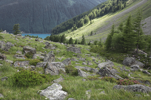 Tisa valley. Descent to Vernago Tisa valley. Descent to Vernago