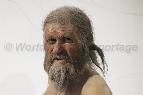 South Tyrol Museum of Archaeology. The reconstruction of the face of Ötzi. The iceman of 5300 years ago South Tyrol Museum of Archaeology. The reconstruction of the face of Ötzi. The iceman of 5300 years ago
