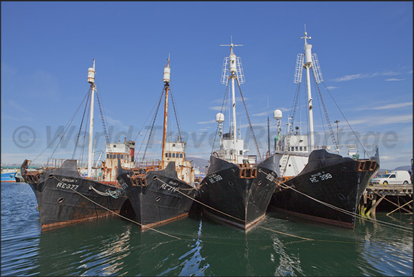 The deposit of old oceanic fishing boats The deposit of old oceanic fishing boats