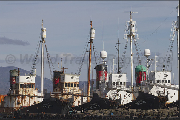 The deposit of old oceanic fishing boats The deposit of old oceanic fishing boats