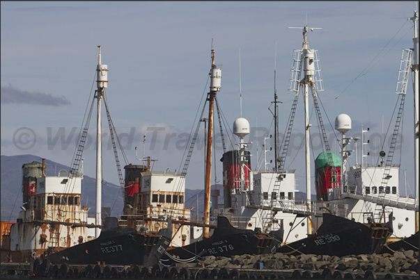 The deposit of old oceanic fishing boats