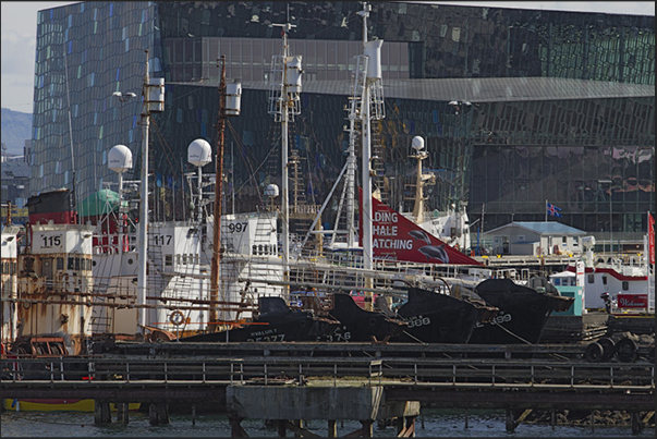The deposit of old oceanic fishing boats The deposit of old oceanic fishing boats