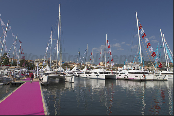 45 catamarans on display in the area in front of the City Hall Square 45 catamarans on display in the area in front of the City Hall Square