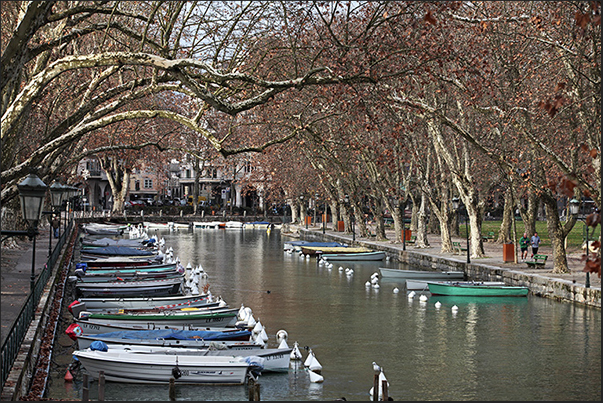 The port The port