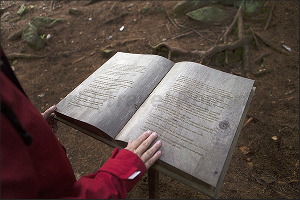 The book with engraved in the wood, the forest stories The book with engraved in the wood, the forest stories