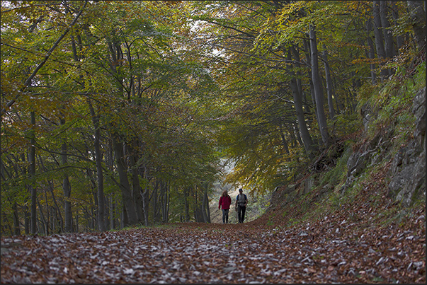 The path in the Sessera Valley