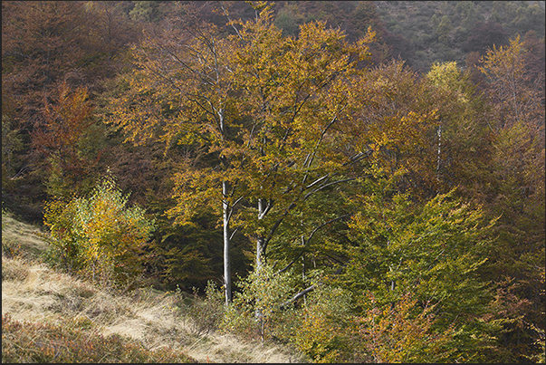 At every turn of the path, appear unexpected color contrasts, good subjects for photographers