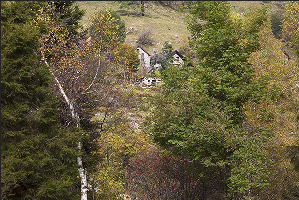 The small village of Alpe Artignaga (1390 m)