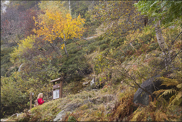 Autumn colors along the path Autumn colors along the path
