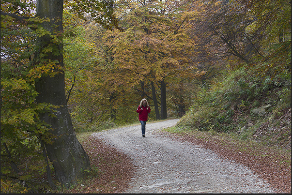 Return to Bocchetto Sessera along the road used by cyclists and transformed into a slope of cross-country skiing in winter