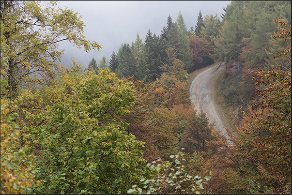 The dirt road used by mountain bikers and, in winter, transformed as a trail for cross-country skiing The dirt road used by mountain bikers and, in winter, transformed as a trail for cross-country skiing