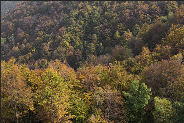 A last look on Sessera Valley before ending the tour and return to the headquarters of Oasi Zegna in Trivero