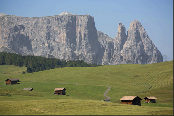 The plateau of Alpe of Siusi The plateau of Alpe of Siusi