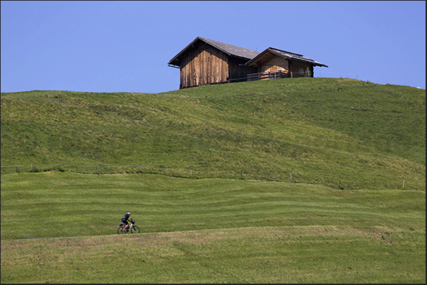 The plateau of Alpe of Siusi The plateau of Alpe of Siusi