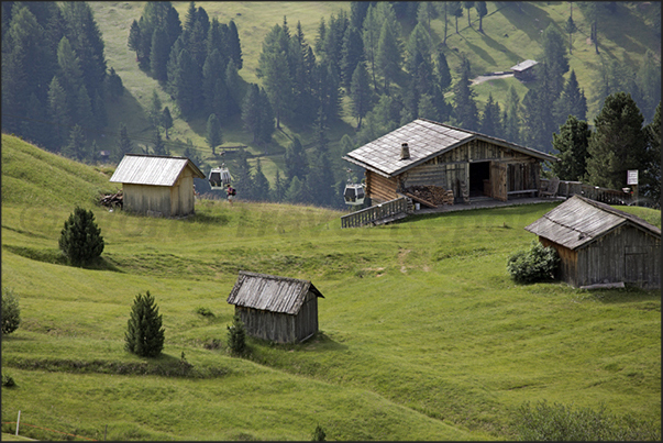 Mountain farms