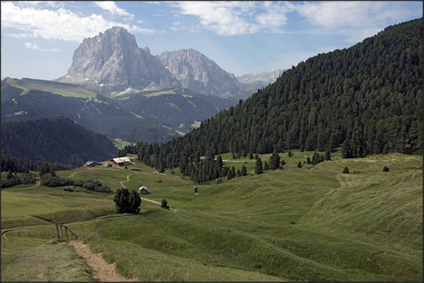 The path from Mount Seceda to Santa Caterina town. On the horizon the Mount Sassolungo The path from Mount Seceda to Santa Caterina town. On the horizon the Mount Sassolungo