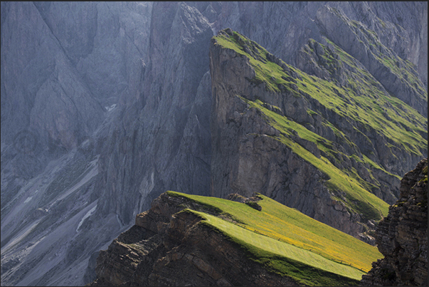 Panorama from the summit of Mount Seceda