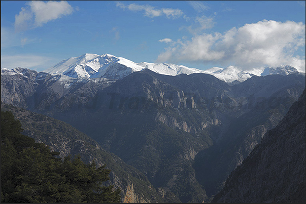 White Mountains National Park (southwest of the island)