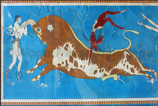 Heraklion. Knossos Palace. The painting of the bull jumping Heraklion. Knossos Palace. The painting of the bull jumping