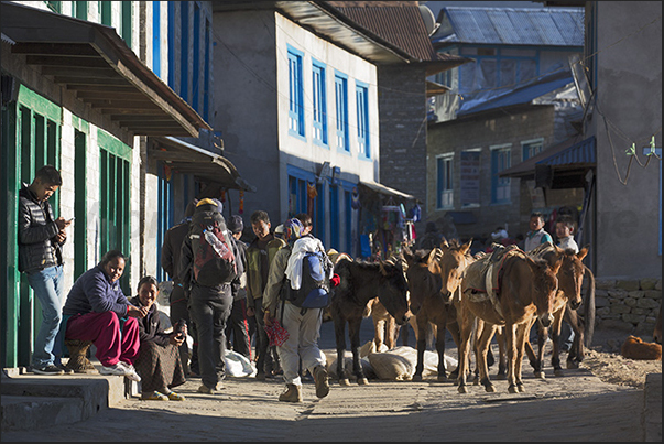 Lukla (2840 m). Mules and yaks are the only means of transport used on the paths of the Himalayan valleys Lukla (2840 m). Mules and yaks are the only means of transport used on the paths of the Himalayan valleys