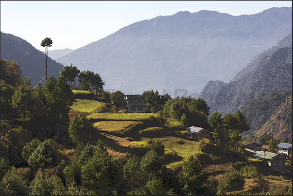 Fields in the village of Chaurikharka seen from the village of Thalsharoa (2678 m)