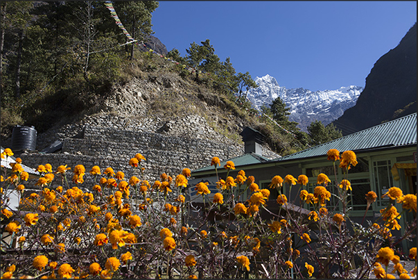 Village of Thado Koshigaon (2580 m). View of Mount Kusum Khangkaru (6370 m) Village of Thado Koshigaon (2580 m). View of Mount Kusum Khangkaru (6370 m)