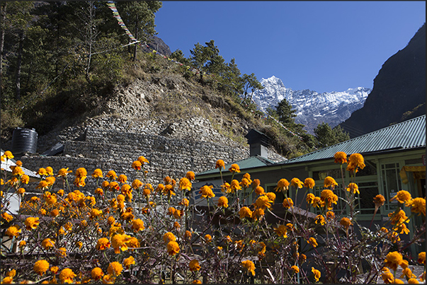 Village of Thado Koshigaon (2580 m). View of Mount Kusum Khangkaru (6370 m)