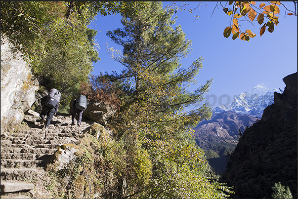 Path after Benkar (2630 m) with on  the horizon Mount Thamserku (6618 m)