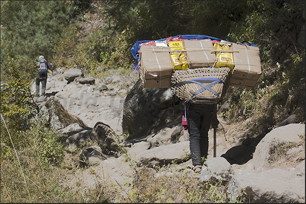 Ascent along the Dudh Kosi River to the longest suspension bridges in the path Ascent along the Dudh Kosi River to the longest suspension bridges in the path