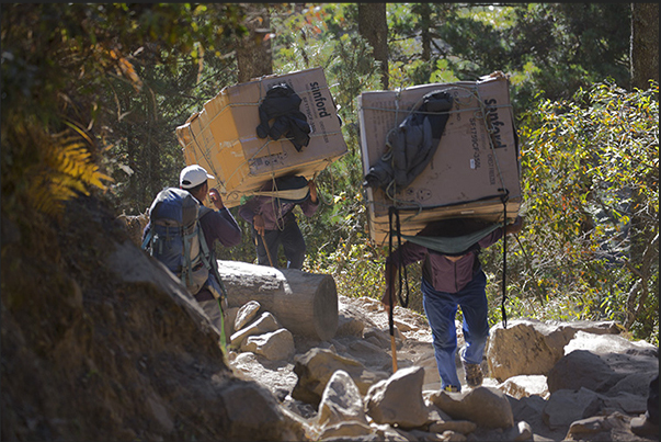 On the path after Jorsale (2740 m) to Namche Bazaar (3440 m)