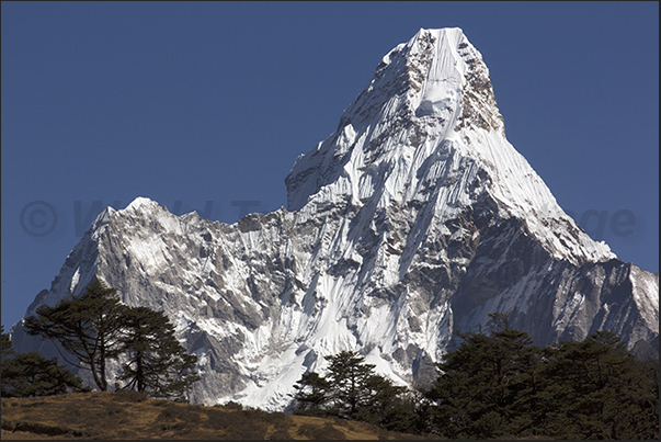 The trail enters into forest but the tip of Mount Ama Dablam is always present
