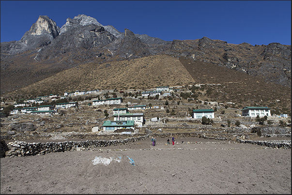 Village of Khumjung (3780 m). Crops of potatoes and vegetables