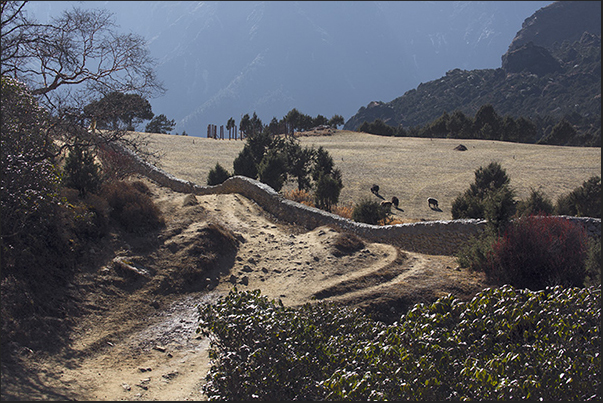 Pastures on the return path to Namche Bazaar