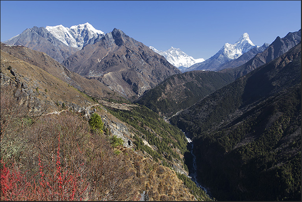 The valley of rhododendrons and, on the horizon, the tip of Mount Lhotse (8516 m)