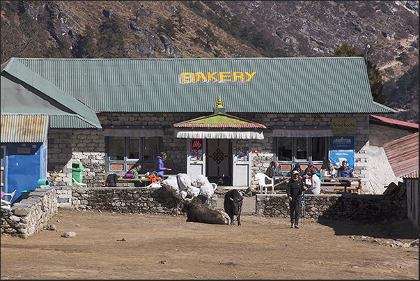 Village of Tengboche (3860 m)