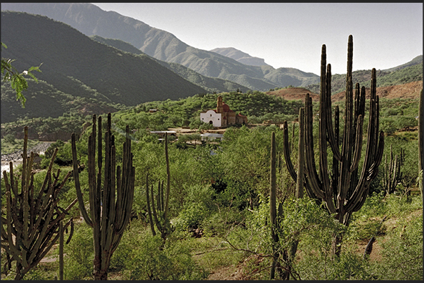 Panorama of Barranca del Cobre (Cobre Canyon) from Batopilas (left) and Divisadero to 2250 m of altitude (left) Panorama of Barranca del Cobre (Cobre Canyon) from Batopilas (left) and Divisadero to 2250 m of altitude (left)