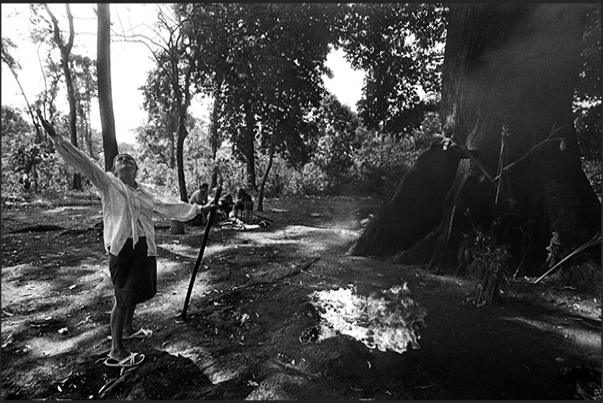 Cuyotenango. A curandera (healer) performs a ritual using black magic rites and Maya, in the inside of a ceiba (Maya sacred tree)