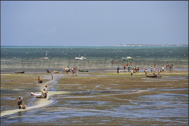 The return of the fishermen that, at low tide, use the little channel dug in the sand to return ashore The return of the fishermen that, at low tide, use the little channel dug in the sand to return ashore