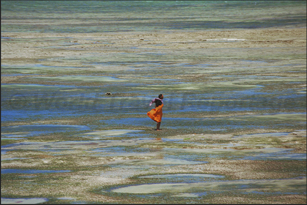 A woman waits, during the low tide, the return of the fishermen A woman waits, during the low tide, the return of the fishermen