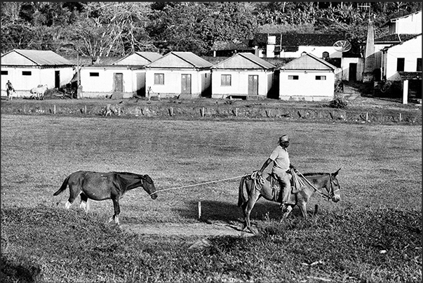 On the farm there are warehouses with sliding roofs and floors where cacao is spread out to dry. The second roof (left), is open