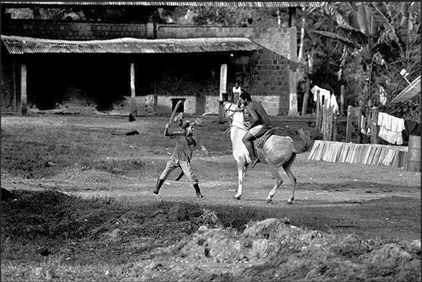 Moments of the game between boys on the farm