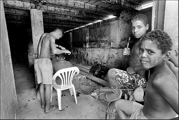 The barber of the farm The barber of the farm