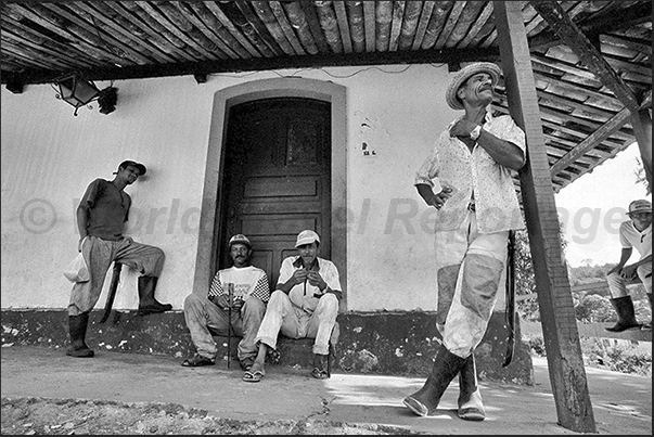 A moment of rest during the working day A moment of rest during the working day