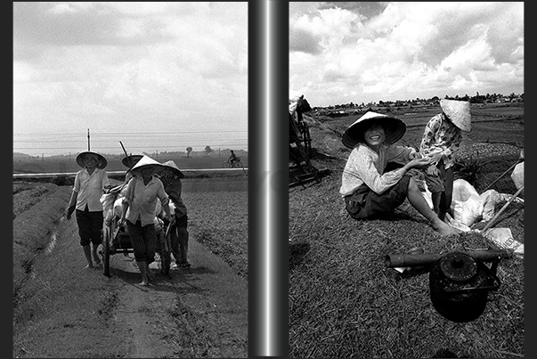 Just a pipe and a teapot tea to spend some time to rest and then go home pulling the handcart with the crop