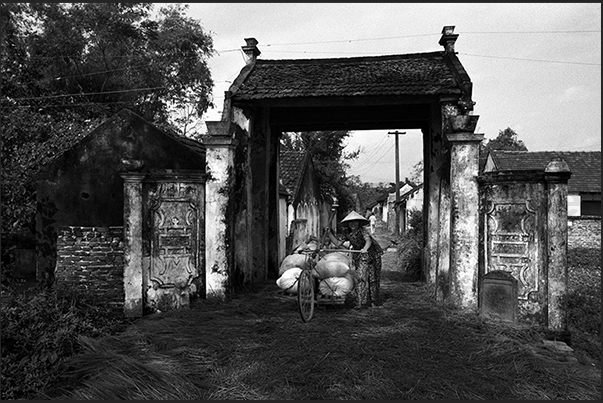 A farmer comes out of the village to carry rice to the market